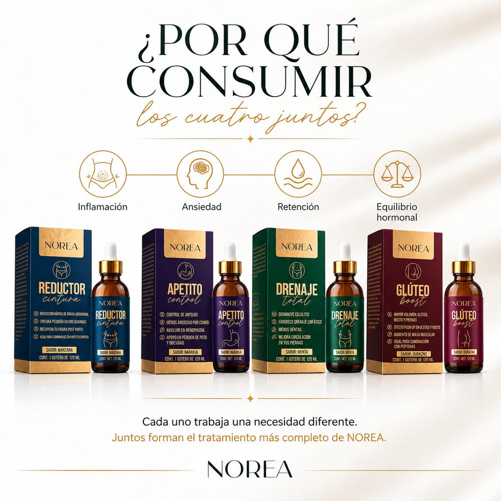 Paquete 03 Transformación Total NOREA